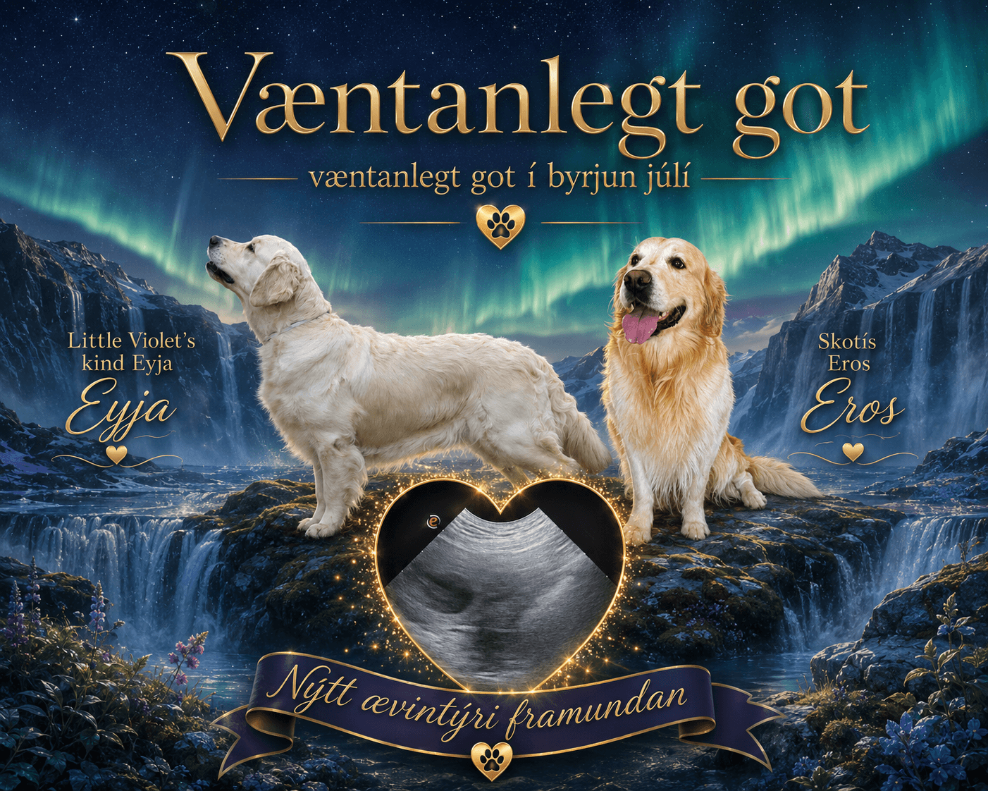 Væntanlegt got